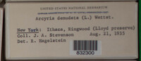 Image Associated With the Occurence
